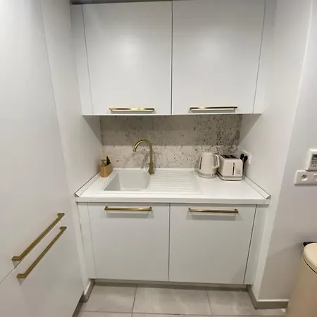 Appartamento 2 Pièces Avec Terrasse Et Piscine Croisette *