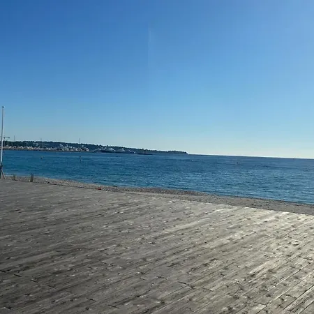 Apartment 2 Pieces Avec Terrasse Et Piscine Croisette Cannes