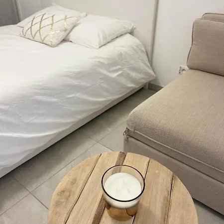 Apartment 2 Pieces Avec Terrasse Et Piscine Croisette *