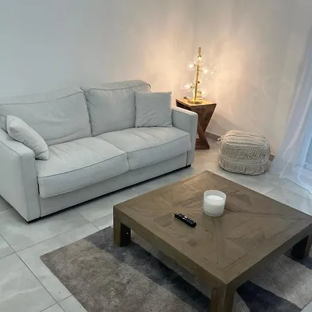 2 Pieces Avec Terrasse Et Piscine Croisette *
